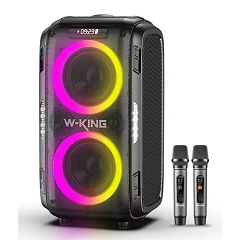 Портативная колонка W-King T9 PRO (Two mic)