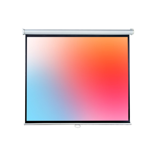 Экран Lumien Eco Picture LEP-100124 178х280см Matte White прямоуголный корпус