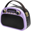 Радиоприемник RITMIX RPR-040 Lavender