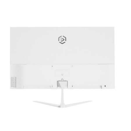 Монитор Raskat I24F10DAW White