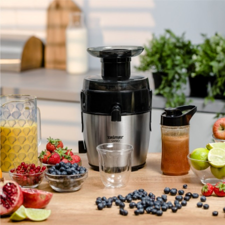 Соковыжималка ZELMER ZJE4800