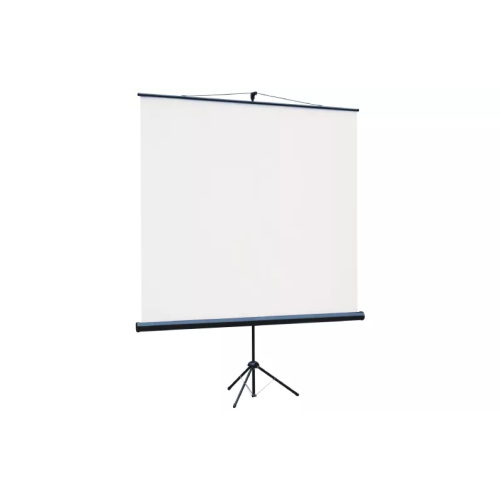 Экран Lumien Eco View (LEV-100108) White