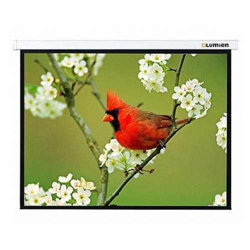 Экран Lumien 305x305см Master Picture LMP-100107 1:1 настенно-потолочный рулонный