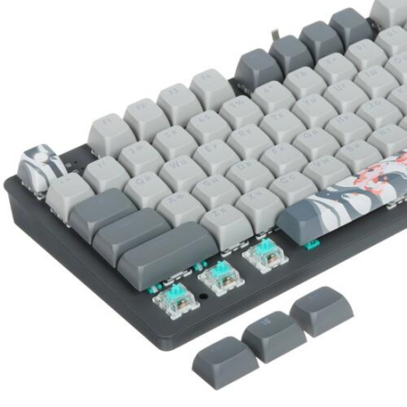 Клавиатура проводная Red Square TKL Koi