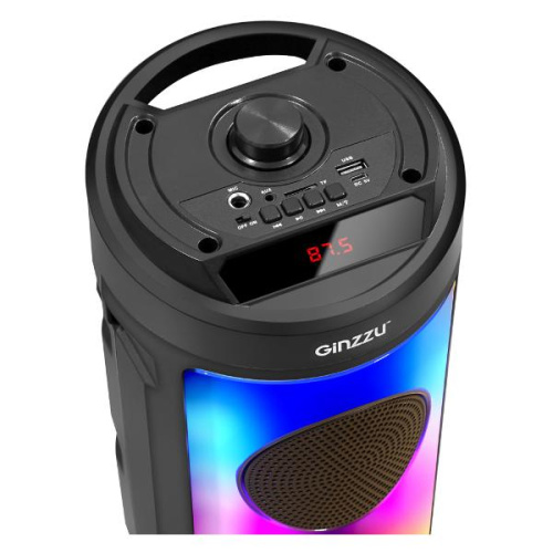 Акустичекая система GINZZU GM-231